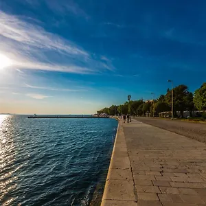 Anna Zadar